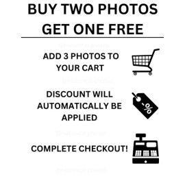 GENERAL COLIN POWELL VIETNAM WAR GULF WAR DESERT STORM 1989 8X10 PHOTO