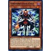 Yu-Gi-Oh! - Fortune Lady Past - RIRA-EN008 - Rare - 1st Edition - Rising Rampage
