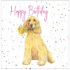 Cocker Spaniel birthday card