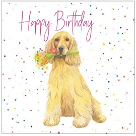 Cocker Spaniel birthday card