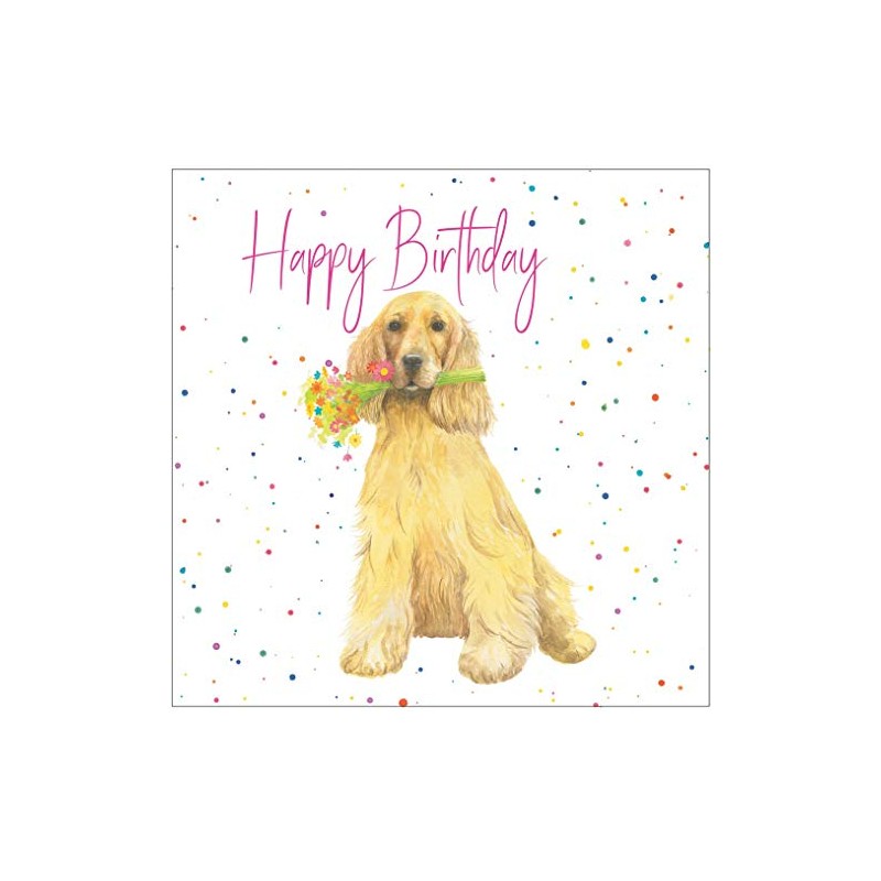 Cocker Spaniel birthday card