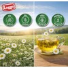 LAGG'S - Té de Manzanilla, Infusión Natural, Sin Cafeína, 24