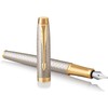 Parker IM Fountain Pen | Premium Warm Silver | Fine