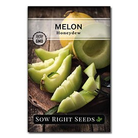 Sow Right Seeds - Green Honeydew Melon Seed for Planting - Non-GMO Heirloom Packet with Instructions to Plant a Home Vegetable Garden