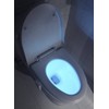 16-Color Motion Sensor Activated Toilet Night Light, Cool Fun Bathroom