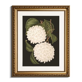 VIYYIEA Gold Framed Wall Art Canvas Print Home Decor White Hydrangea Oil Painting Canvas Prints Room Decor Aesthetic Flower Prints Decor Bedroom Bathroom Wall Decor Kitchen Office 13x16in