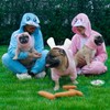 iChoue I am a French Bulldog Bunny Dog Easter Costumes