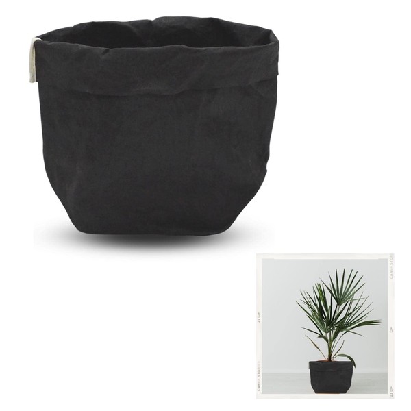 Racine de lotus Pot Cover, Stylish (Washable Kraft Paper) Planter Cover 5.9 x 10.6 inches (15 x 27 cm) (Medium: Black)