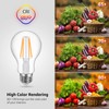 Lepro Vintage LED Bulbs, Dimmable Filament Bulb, 8W 800LM, 60W