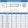 Eisenwaren2000 Cylindrical Screws with Hexalobular Hexalobular TX M6 x 20