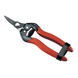 AUSONIA - 31410 Garden Shears Harvesting Shears Flower Scissors Reading Scissors Fruit Scissors Cm 16