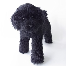 Poseable Poodle Plush Toy (Toy Poodle, Black)