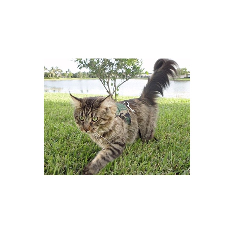 Mynwood Cat Jacket/Harness Green Combat Adult Cat