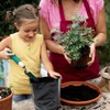 1 3/8 Gallon 50 Pcs Tall Plant Nursery Bags 5.5"