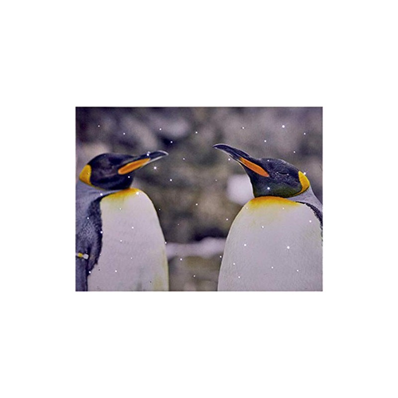 Penguin Scene 40 x 30 cm Penguin LED Leisure Christmas