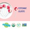 YumEarth Organic Candy Cane Lollipops - Individually Wrapped Peppermint Pops