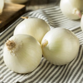 Snowball Winter Bulbs (500 g) - Winter Bulbs Hardy - High Quality from Holland (no Seeds) - Mild Sharp Vegetable Onion - Onion Size 14-21 mm