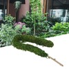 Moss Pole Bendable Safe Moss Plant Rod Plant Support Gardening