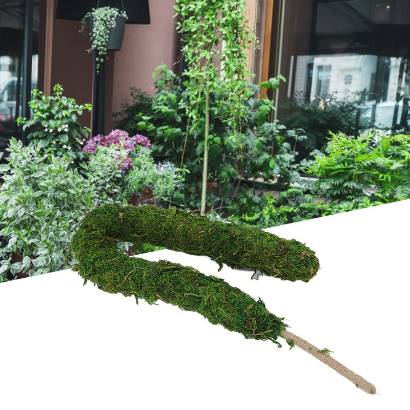 Moss Pole Bendable Safe Moss Plant Rod Plant Support Gardening