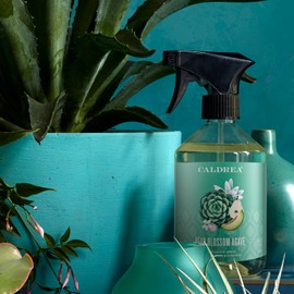 Caldrea Multi-surface CounterTop Spray Cleaner, Made With Vegetable Protein Extract, Pear Blossom Agave Scent, 16 Oz