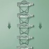 iayokocc 5pcs Hat Rack Hanger Holder Organizer Closet Hanging, Baseball