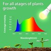Wiyifada 6 Pack Full Spectrum Grow Light Bulbs,A19 Grow Lights