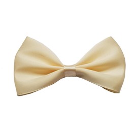 Kids Boys Pre-Tied Satin Bow Tie Plain Bow Tie for Wedding Party Adjustable Formal bow tie-Elastic band (Cream)