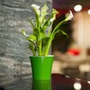 Santino Self Watering Planter Arte 4.3 Inch White/Black Indoor Flower