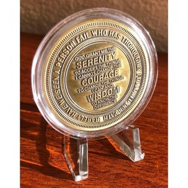 MYRECOVERYSTORE AA Coin with Roman Numeral Alcoholics Anonymous (1-60 Years) Year 9