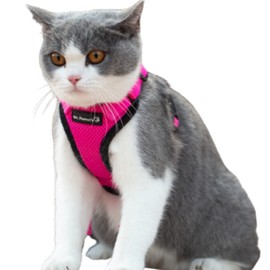 Mr. Peanut's PurrTrek Reflective Cat Harness with Matching Leash (Extra Small, Pink)