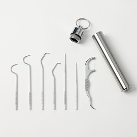 Oral care portable stainless steel toothpick 7p set 2ea