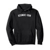 Iconic-ish Pullover Hoodie
