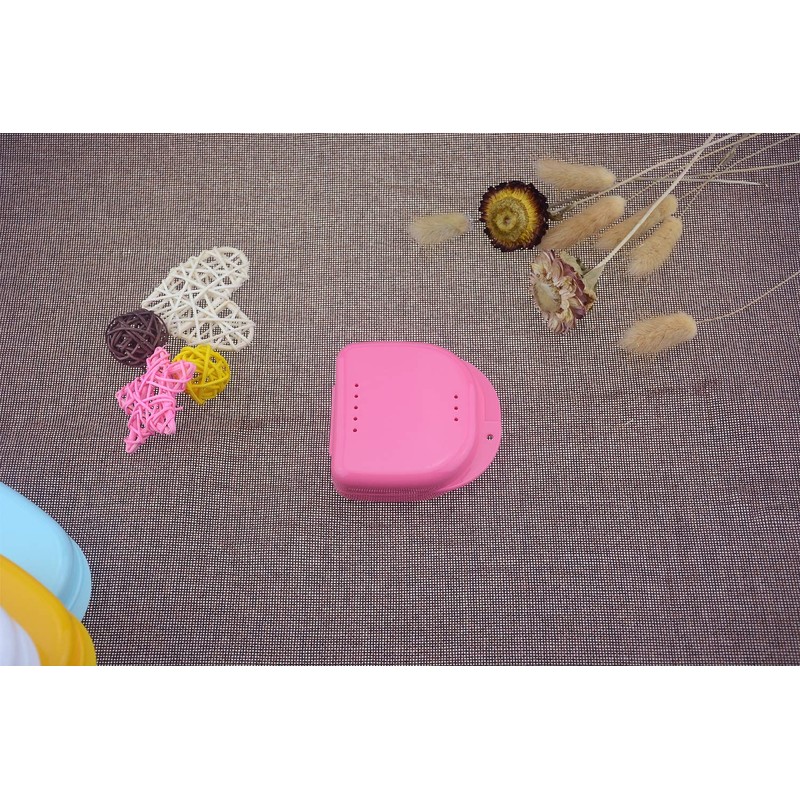 Wowlife Orthodontic Retainer Case Dental Container Denture Storage Boxes with