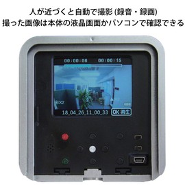 Revex SDN3000 Security Recording Sensor Camera with Micro SD Card (sold separately) Security Sticker Included