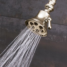 Speakman S-2254-PB Showerhead, 2.5 GPM, Polished Brass