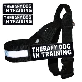 Therapy Dog in Training Nylon Harness No Pull Guide Assistance Comes with 2 Reflective Therapy Dog in Training Removable Reflective Patches. Please Measure Your Dog Before Ordering.