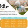 Dog Harness and Leash Set,Step-in Air Dog Vest, Reflective, No