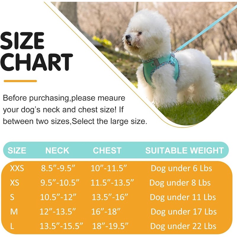 Dog Harness and Leash Set,Step-in Air Dog Vest, Reflective, No