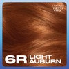 Clairol Nice'n Easy Permanent Hair Dye, 6R Light Auburn Hair
