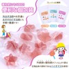 はぐグミ ぶどう味 歯医者専用 キシリトール100% グミ 砂糖不使用 ダイエットお菓子 こども ぶどう味 個包装