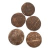Chamalongos Cascara De Coco Juego De 5 Piezas