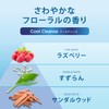 h&s 5 in 1 Cool Cleanse Series Shampoo + Conditioner