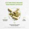 Secrets of the Tribe Hydrangea USDA Organic Capsules | Certified