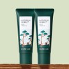 round wrap [Set of 2] Round Wrap Pine Soothing Cica