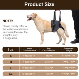 Infreecs Dog Lifting Harness for Back Legs, Soft Dogs Brace for Hind Leg, Adjustable Dog Support Harness Slings for Large Medium Small, Support Strap for Injured Disabled Elderly Dogs Walking Aids,XL
