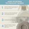 Pro Liposomal™ Cápsulas de curcumina 500 mg sin OMG, absorción