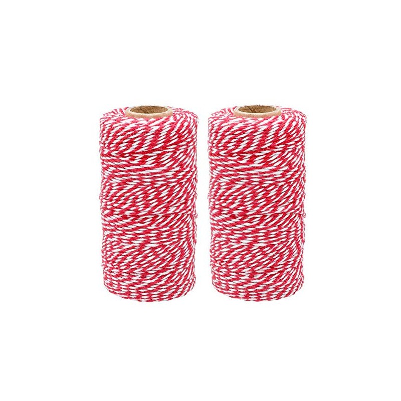 G2PLUS 2x100M Red and White String Twine, 2MM Craft Cotton