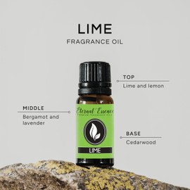 Lime Premium Grade Frangrance Oil - 10ml - Scented Oil