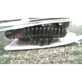 Bell 39003-8 Bell 10ft Extension Cord 12v NEW 👀 GR8 BUY!!