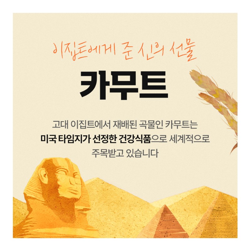 Kim So-hyung's studio Kamut Kamut Grain Digestive Enzyme 30 sachets